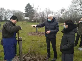 Greffes d’arbres fruitiers aux abords de la déviation de Saint-Calais !