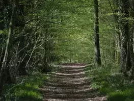 Un nouvel Espace Naturel Sensible à Brette-les-Pins