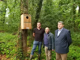 Un abri douillet pour le pique-prune !