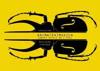 Anima (Ex) Musica