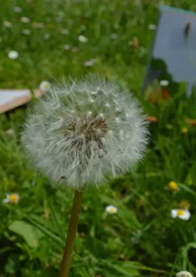 Atelier "Les petits explorateurs de la nature"