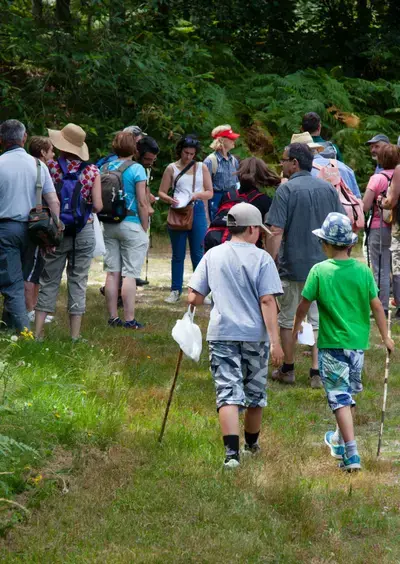Balade commentée en forêt