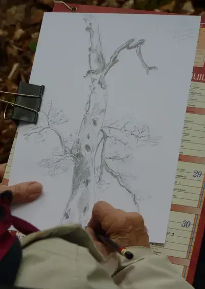 Atelier nature "Dessin forestier"