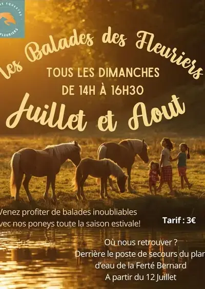 Balade à poney