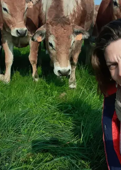 Mercredi du terroir : Visite d'un élevage de poulets de Loué et de vaches parthenaises