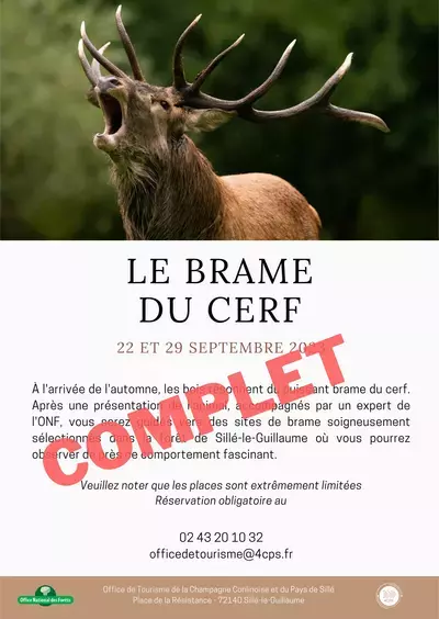 SORTIE NATURE : BRAME DU CERF EN FORÊT DE SILLÉ