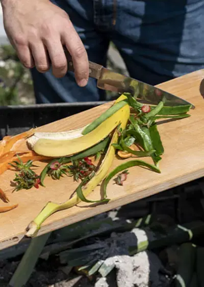 Atelier Couleur compost