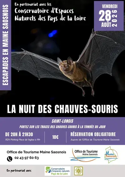 Escapades en Maine Saosnois : La nuit des chauves-souris