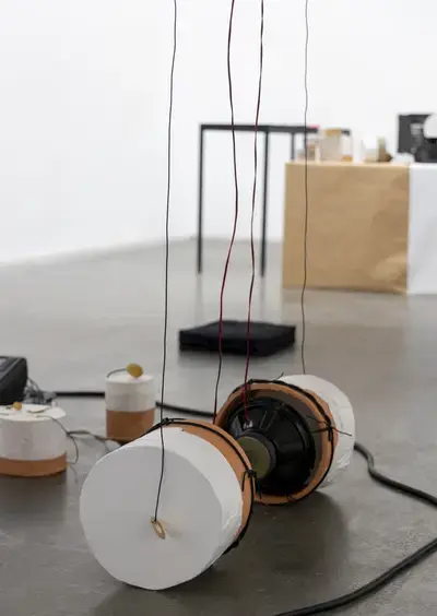 Rétroaction par  Hongli Wang