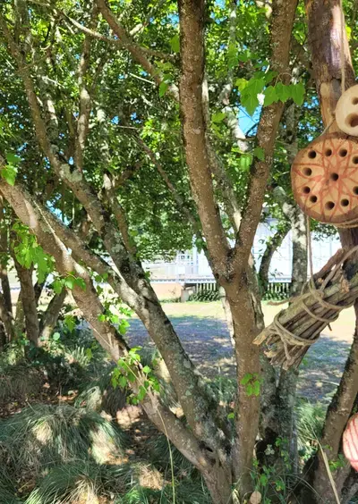 Atelier "Un hôtel pour les insectes "