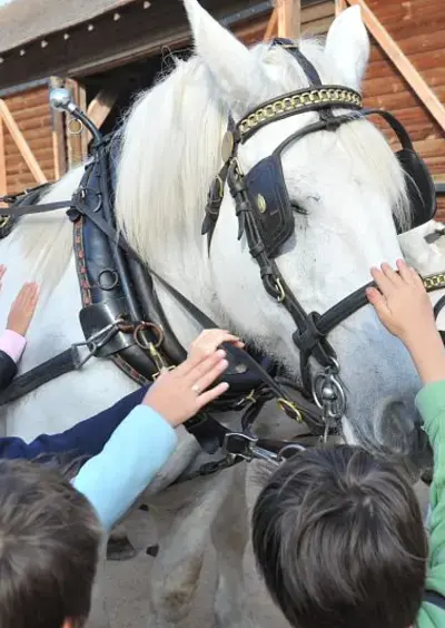 L'Arche de la Nature au pas des percherons