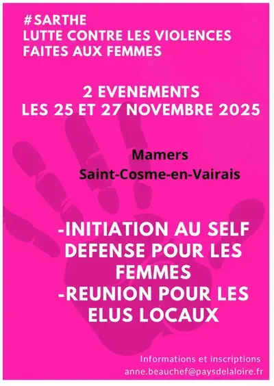 Lutte contre les violences faites aux femmes