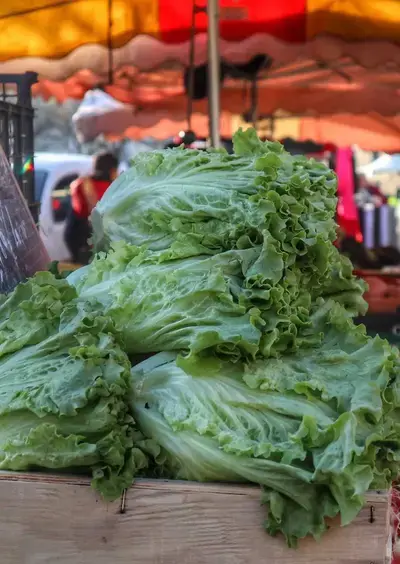 Marché le samedi matin à Précigné