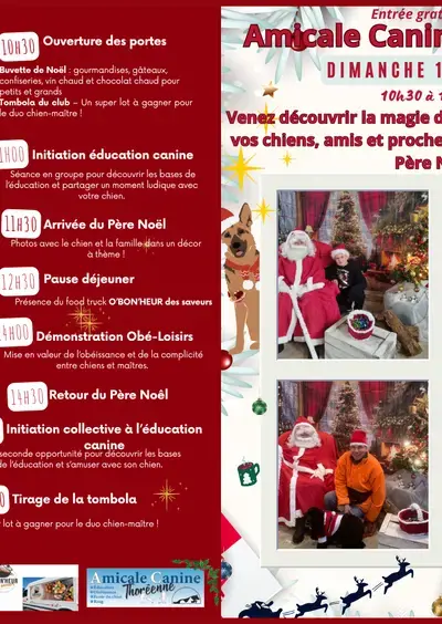 Animations de Noël avec son chien