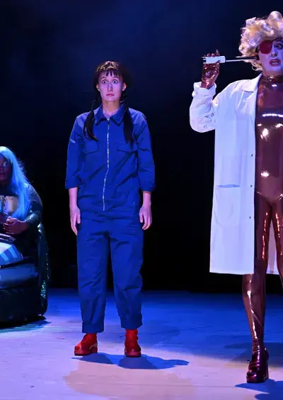 Peau d'âne - La fête est finie