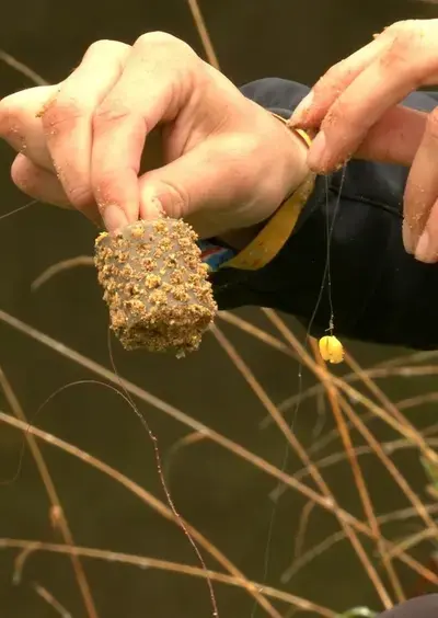 Journée pêche au feeder