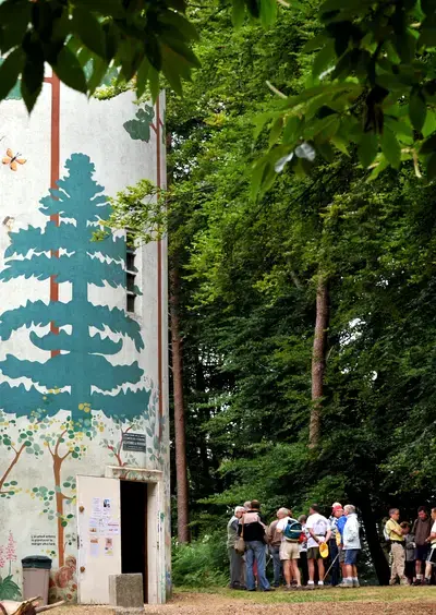 Balade Greeters : L'Appel de la forêt