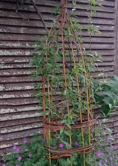 Atelier soleil d'Osier  - Françoise defaux