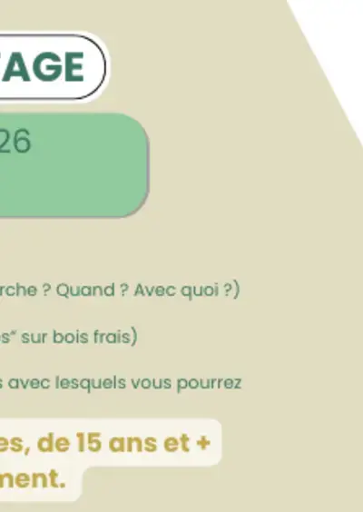 Initiation à la greffe par Pépins et Brindilles