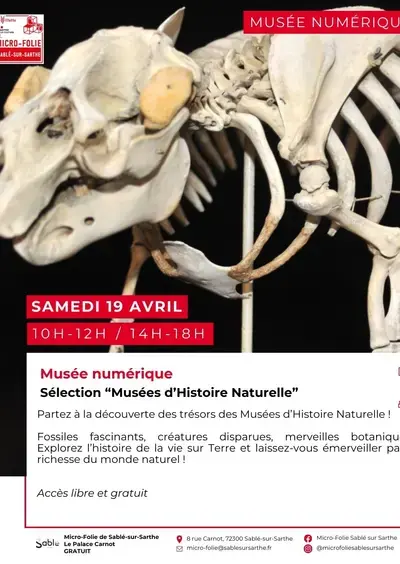 Musée numérique : Sélection " musées d'histoire naturelle"