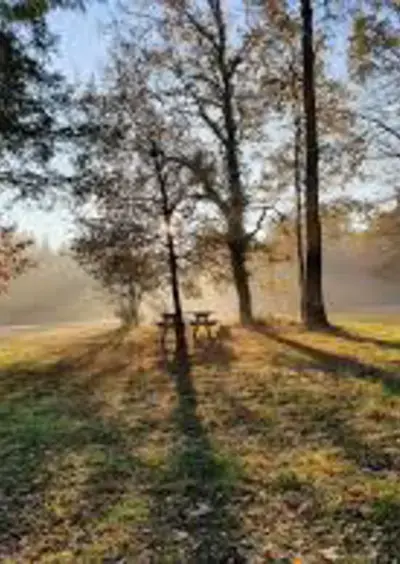 À la découverte des châtaigniers de l’Arche de la Nature