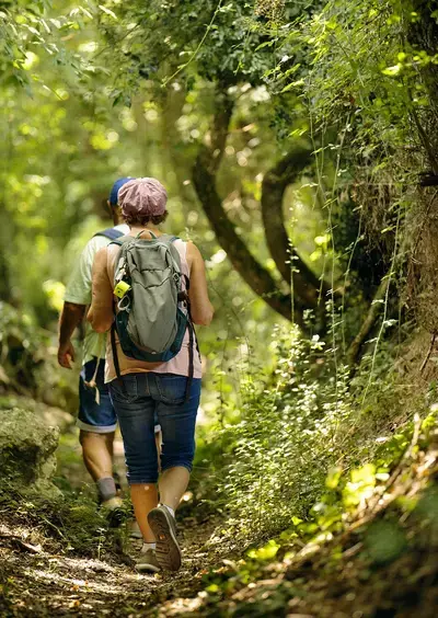 Randonnée pédestre