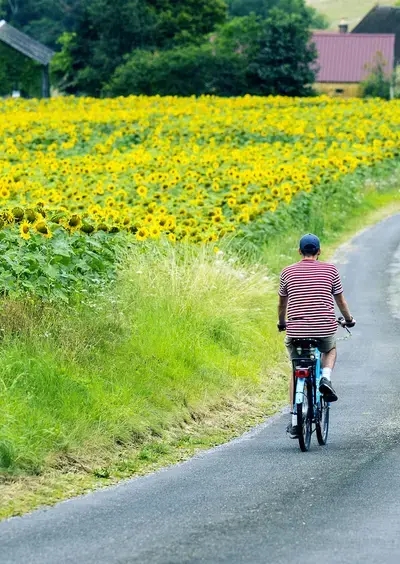 Courses cyclistes