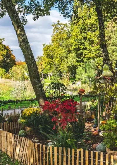 Renaturaliser une zone horticole