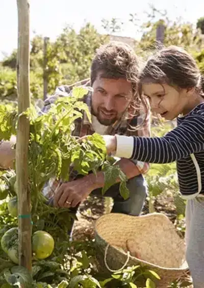 Réfléchir son jardin en fonction de son environnement