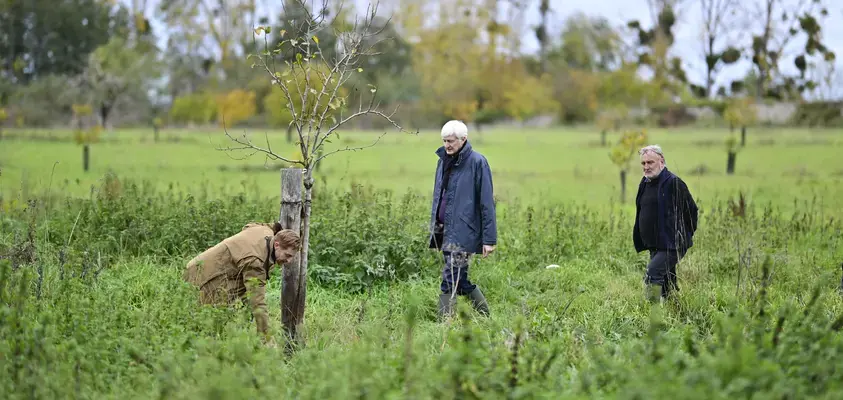 Le Département contribue à la reconstruction du bocage sarthois Le Département contribue à la reconstruction du bocage sarthois