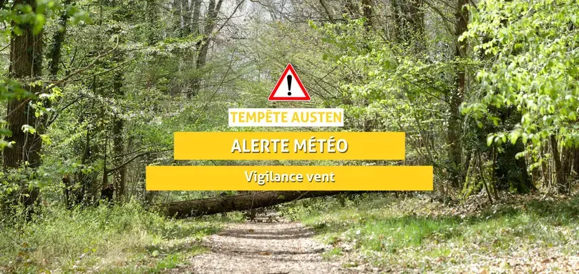 Tempête Austen en Sarthe : les agents des routes sécurisent le réseau routier