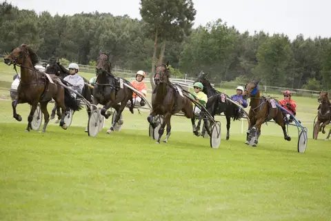 Courses hippiques - Ecommoy