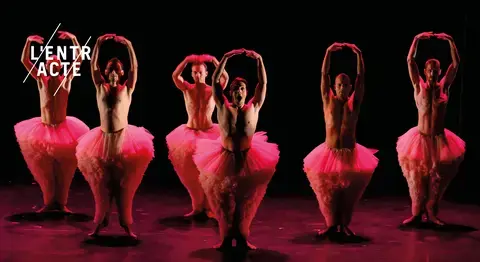 Tutu Chicos // mambo