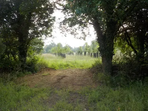 Balade d'Eveil à la Nature