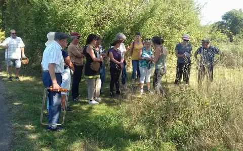 Balade Printanière