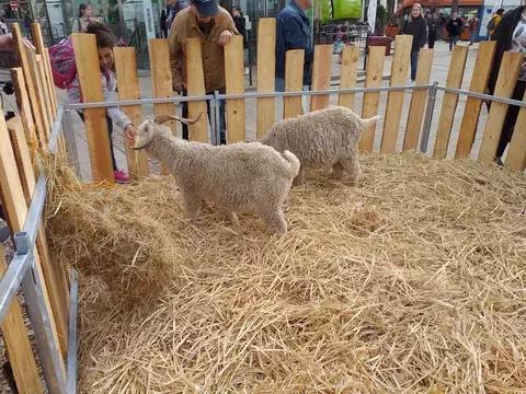 LA FERME NATURELL'MANS