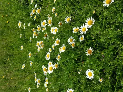 Balade nature