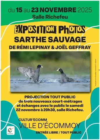 Projection de 3 court-métrages "Sarthe Sauvage"