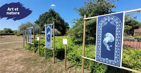 Atelier "Cyanotype"