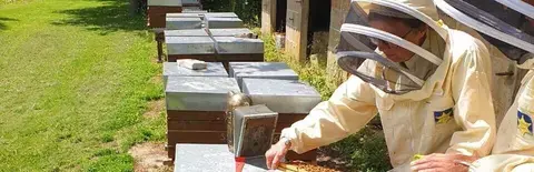 Visite de la miellerie "Rêve d’abeilles"