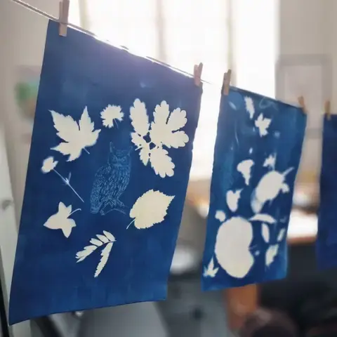 Atelier cyanotype