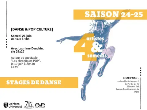 [DANSE & POP CULTURE] - stage de danse