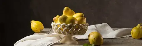 Exposition Carol Descordes