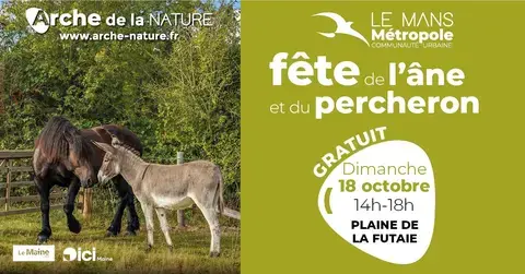 Fête de l'âne et du cheval Percheron