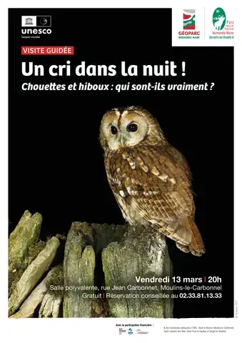 Visite guidée "Un cri dans la nuit"