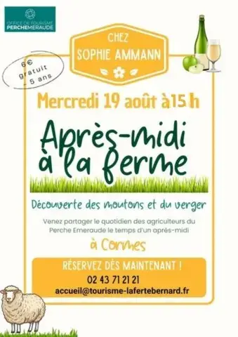 Après midi à la ferme : Cidrerie de Sophie Ammann