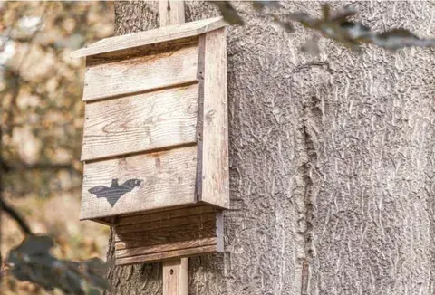 Construction d'abri pour Chauve-Souris