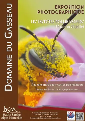 Exposition "Les insectes pollinisateurs"