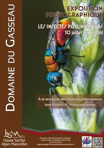 Exposition "Les insectes pollinisateurs"