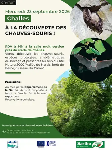 À la découverte des chauves-souris